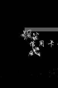 信用卡大額逾期怎么辦理