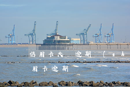 信用卡大額逾期數(shù)月-有多少信用卡逾期