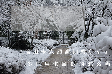 信用卡大額逾期會(huì)怎么處理(這么多信用卡逾期的怎么辦)