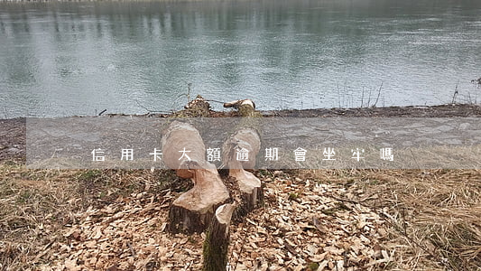 信用卡大額逾期會坐牢嗎