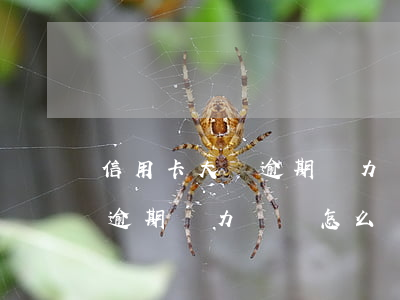 信用卡大額逾期無力償還怎么辦(信用卡大額逾期無力償還怎么辦)
