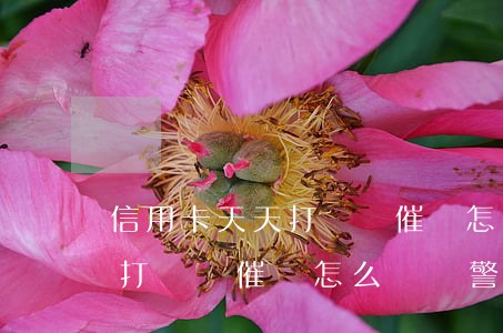信用卡天天打電話催賬怎么辦-信用卡天天打電話催賬怎么辦報警有用嗎