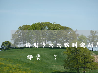 信用卡 天天收到逾期(欠信用卡錢天天打電話,都要瘋了)