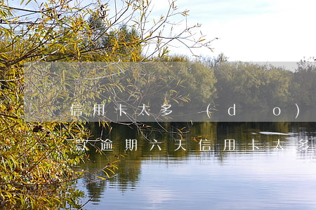 信用卡太多導(dǎo)致錯(cuò)還款逾期六天(信用卡太多導(dǎo)致錯(cuò)還款逾期六天)