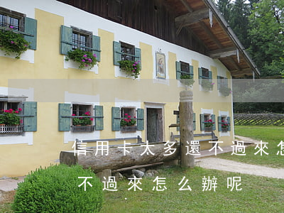 信用卡太多還不過來怎么辦-信用卡太多還不過來怎么辦呢