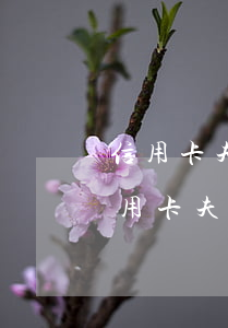 信用卡夫妻一方无力偿还另一方担责吗-信用卡夫妻一方无力偿还另一方担责吗怎么办