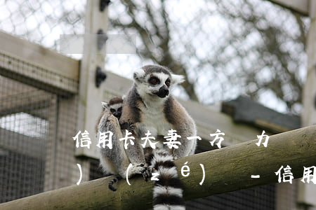 信用卡夫妻一方無力償還,另一方擔(dān)責(zé)嗎-信用卡夫妻一方無力償還,另一方擔(dān)責(zé)嗎合法嗎