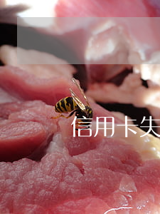 信用卡 失信（信用卡逾期叫失信人嗎）