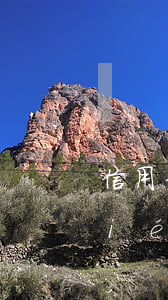 信用卡失信協(xié)商(欠信用卡協(xié)商找誰(shuí))