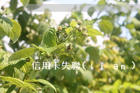信用卡失聯(lián)逾期4個月