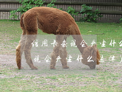 信用卡套现会产生什么法律后果-信用卡套现会产生什么法律后果呢