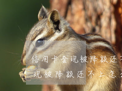 信用卡套现被降额还不上怎么办-信用卡套现被降额还不上怎么办呢