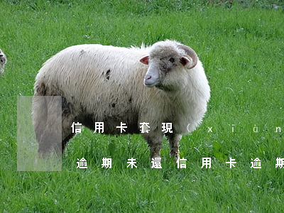 信用卡套現(xiàn)一萬(wàn)五逾期未還(信用卡 逾期 萬(wàn)五 每日)