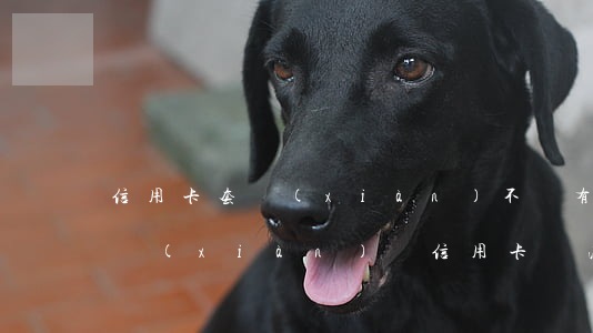 信用卡套現(xiàn)不還有什么后果(套現(xiàn)還信用卡違法嗎)