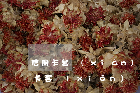 信用卡套現(xiàn)不還銀行報警(信用卡套現(xiàn)違法為什么還存在)