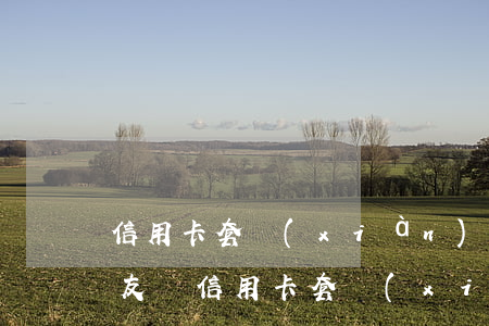信用卡套現(xiàn)借人后來不還了(朋友讓信用卡套現(xiàn)借他錢)