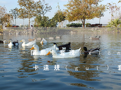 信用卡套現(xiàn)存在逾期隱患(信用卡違規(guī)套現(xiàn) 逾期了會(huì)被判刑不)