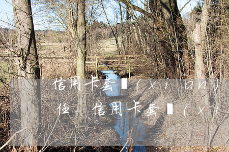 信用卡套現(xiàn)應承擔什么法律責任-信用卡套現(xiàn)應承擔什么法律責任呢