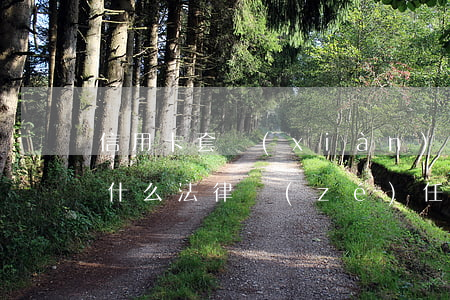 信用卡套現(xiàn)要承擔(dān)什么法律責(zé)任-信用卡套現(xiàn)要承擔(dān)什么法律責(zé)任呢