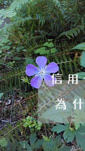 信用卡好久不還沒(méi)人找了(信用卡為什么逾期了沒(méi)人聯(lián)系我)