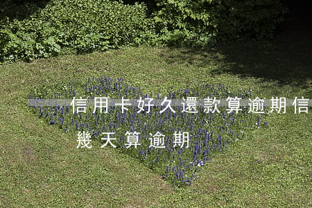 信用卡好久還款算逾期(信用卡過(guò)幾天算逾期)