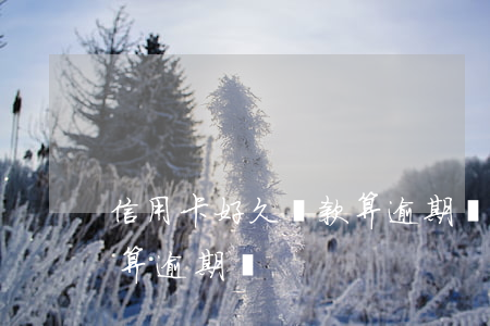 信用卡好久還款算逾期嗎(信用卡寬限期還款算逾期嗎)