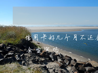 信用卡好几个月不还会坐牢(信用卡2万不还会坐牢吗)