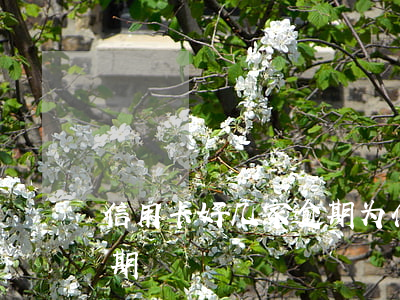 信用卡好几家逾期(为什么这么多人信用卡逾期)