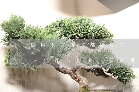 信用卡好多張都逾期三個(gè)月沒還了-信用卡好多張都逾期三個(gè)月沒還了怎么辦
