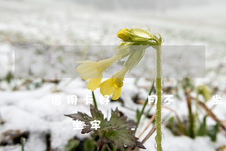 信用卡好幾個月不還會坐牢(信用卡2萬不還會坐牢嗎)