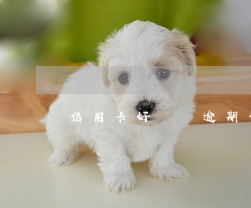 信用卡好幾張逾期(信用卡好幾張逾期一天)