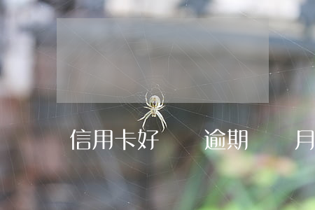 信用卡好幾張逾期幾個月