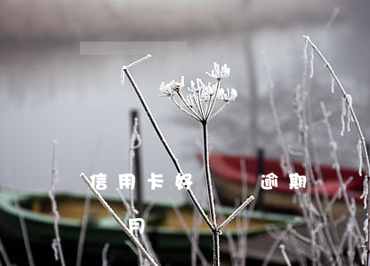 信用卡好幾張逾期幾個月(信用卡最多逾期幾個月)