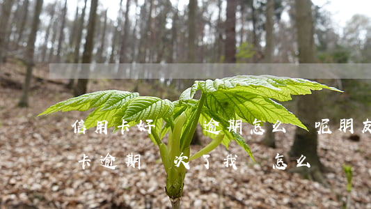 信用卡好幾張逾期怎么辦呢(朋友用我的信用卡逾期幾次了,我該怎么辦)