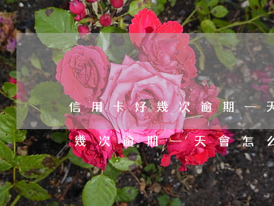信用卡好幾次逾期一天會怎么樣-信用卡好幾次逾期一天會怎么樣啊