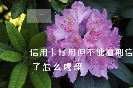 信用卡好用但不能逾期(信用卡逾期卡不能用了怎么處理)