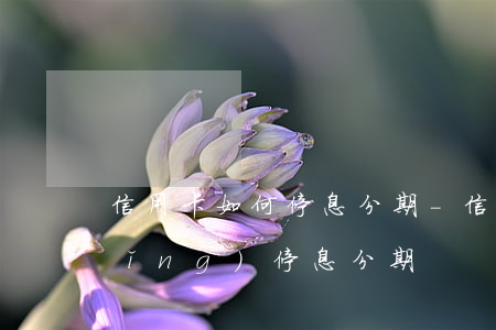 信用卡如何停息分期-信用卡怎樣申請(qǐng)停息分期