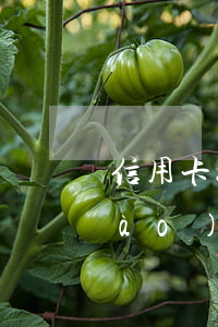 信用卡如何協(xié)商還款電話號(hào)碼-信用卡如何協(xié)商還款電話號(hào)碼查詢