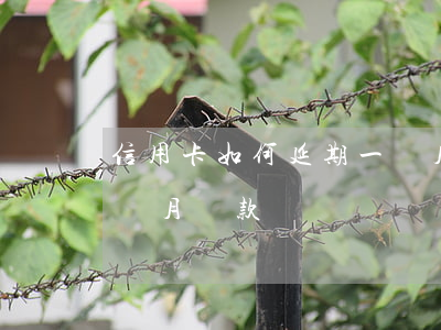 信用卡如何延期一個月-信用卡如何延期一個月還款
