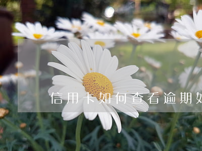 信用卡如何查看逾期(如何查信用卡逾期情況)
