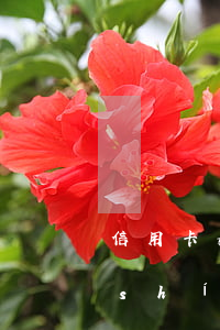 信用卡如何查詢(xún)自己的逾期時(shí)間-信用卡如何查詢(xún)自己的逾期時(shí)間記錄
