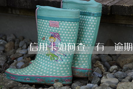 信用卡如何查詢有無逾期(信用卡逾期怎么查詢)
