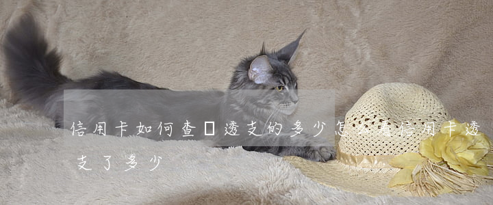 信用卡如何查詢透支的多少(怎么看信用卡透支了多少)