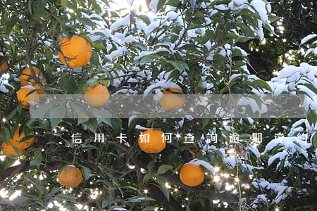 信用卡如何查詢逾期違約