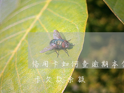 信用卡如何查逾期本金还完了-怎么查信用卡欠款余额
