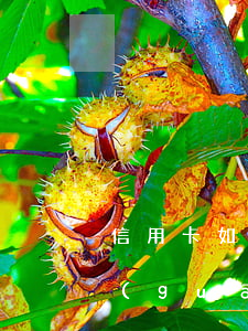 信用卡如何正確協(xié)商還本金？關(guān)鍵步驟與技巧全解析