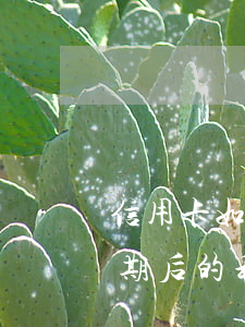 信用卡如何計(jì)算逾期利息(信用卡逾期后的利息怎么算的)