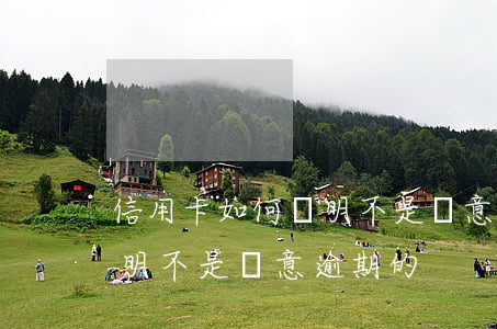 信用卡如何證明不是惡意逾期(信用卡如何證明不是惡意逾期的)