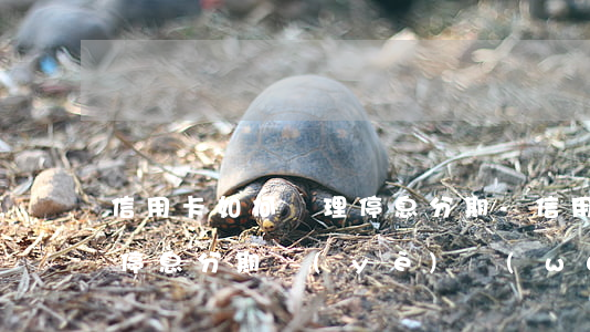 信用卡如何辦理停息分期-信用卡如何辦理停息分期業(yè)務(wù)