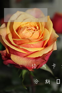 信用卡如何辦理分期還款-信用卡怎么辦理分期還款